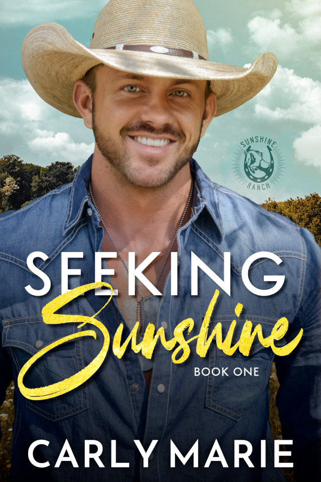 Seeking Sunshine Book Cover