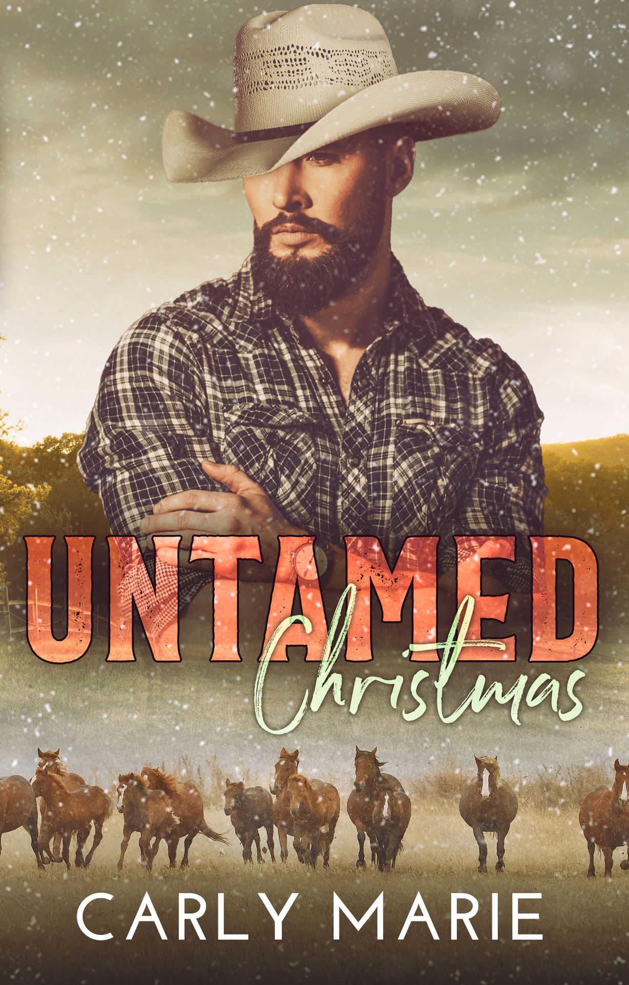 Untamed Christmas Book Cover