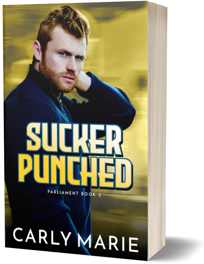 Start reading Sucker Punched paperback cover